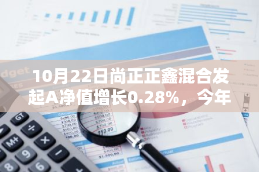 10月22日尚正正鑫混合发起A净值增长0.28%，今年来累计上涨8.35%