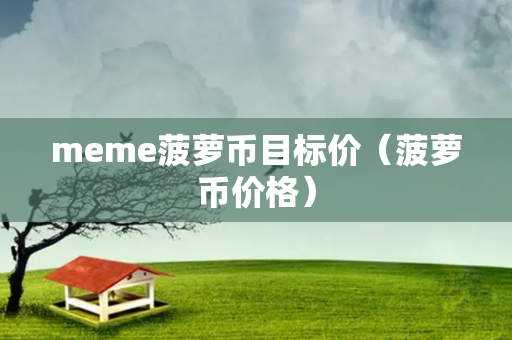 meme菠萝币目标价（菠萝币价格）