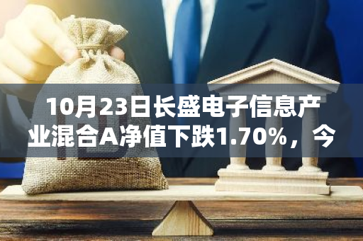 10月23日长盛电子信息产业混合A净值下跌1.70%，今年来累计下跌1.04%