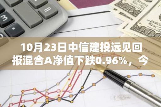 10月23日中信建投远见回报混合A净值下跌0.96%，今年来累计上涨0.24%