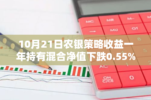 10月21日农银策略收益一年持有混合净值下跌0.55%，近3个月累计下跌2.76%