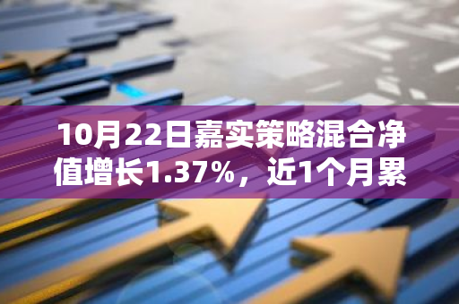 10月22日嘉实策略混合净值增长1.37%，近1个月累计上涨22.41%