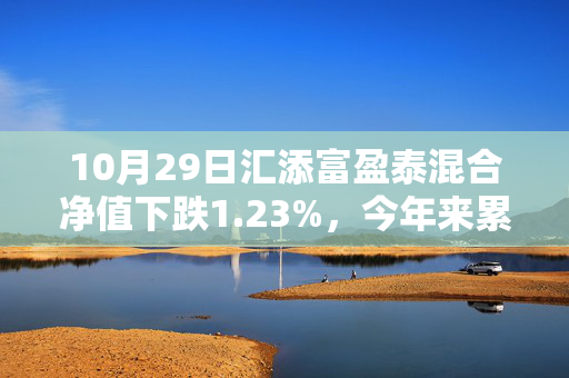 10月29日汇添富盈泰混合净值下跌1.23%，今年来累计下跌5.65%