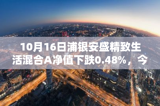 10月16日浦银安盛精致生活混合A净值下跌0.48%，今年来累计下跌5.63%