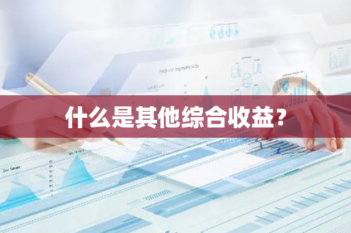 什么是其他综合收益？