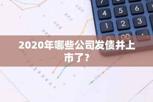 2020年哪些公司发债并上市了？