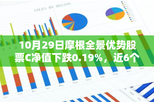 10月29日摩根全景优势股票C净值下跌0.19%，近6个月累计上涨3.66%