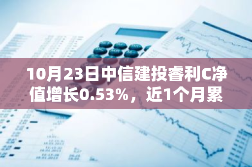 10月23日中信建投睿利C净值增长0.53%，近1个月累计上涨23.65%