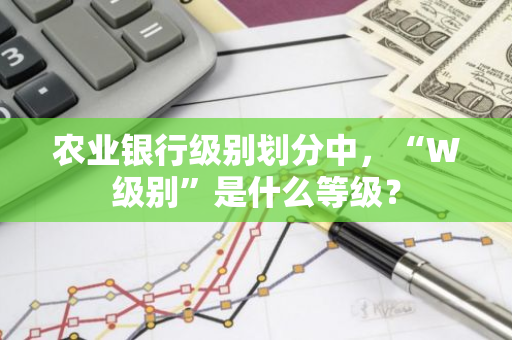 农业银行级别划分中，“W级别”是什么等级？