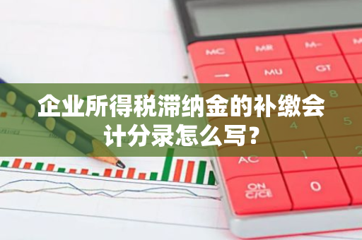 企业所得税滞纳金的补缴会计分录怎么写？