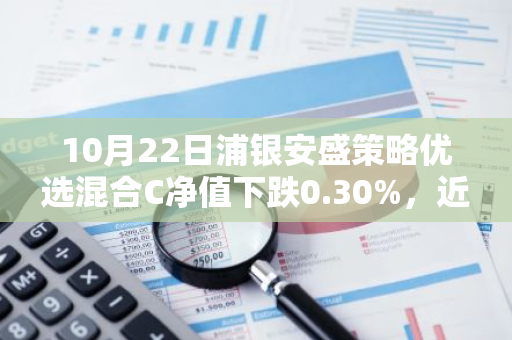 10月22日浦银安盛策略优选混合C净值下跌0.30%，近3个月累计上涨2.09%