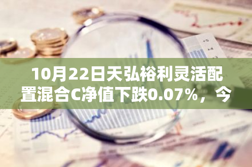 10月22日天弘裕利灵活配置混合C净值下跌0.07%，今年来累计下跌4.57%