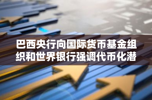 巴西央行向国际货币基金组织和世界银行强调代币化潜力