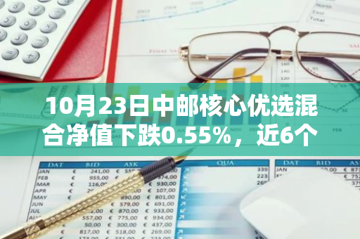 10月23日中邮核心优选混合净值下跌0.55%，近6个月累计上涨1.61%