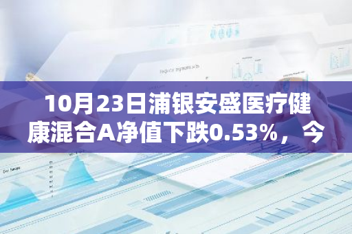 10月23日浦银安盛医疗健康混合A净值下跌0.53%，今年来累计下跌11.5%