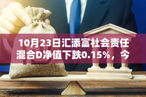 10月23日汇添富社会责任混合D净值下跌0.15%，今年来累计上涨5.14%