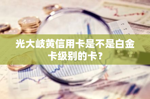 光大岐黄信用卡是不是白金卡级别的卡？