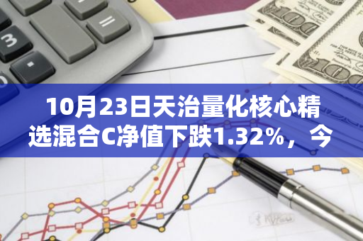 10月23日天治量化核心精选混合C净值下跌1.32%，今年来累计下跌20.86%