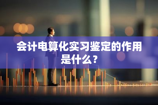 会计电算化实习鉴定的作用是什么？