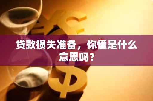 贷款损失准备，你懂是什么意思吗？