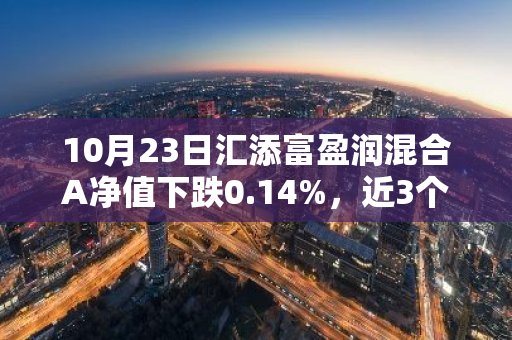 10月23日汇添富盈润混合A净值下跌0.14%，近3个月累计上涨0.65%