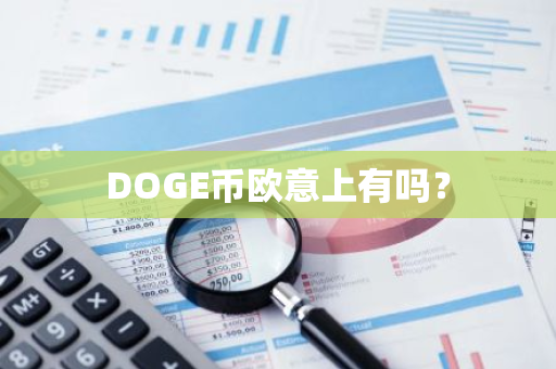 DOGE币欧意上有吗？