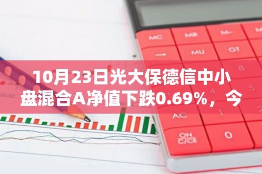 10月23日光大保德信中小盘混合A净值下跌0.69%，今年来累计上涨4.68%