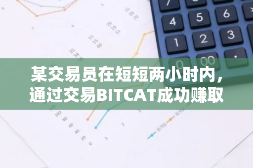 某交易员在短短两小时内，通过交易BITCAT成功赚取了约45.8万美元的丰厚收益