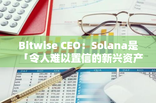 Bitwise CEO：Solana是「令人难以置信的新兴资产和故事」