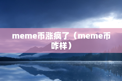 meme币涨疯了（meme币咋样）