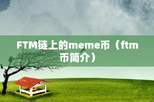 FTM链上的meme币（ftm币简介）