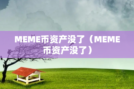 MEME币资产没了（MEME币资产没了）