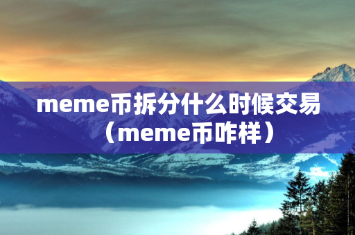 meme币拆分什么时候交易（meme币咋样）