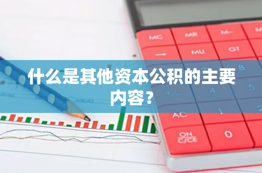 什么是其他资本公积的主要内容？