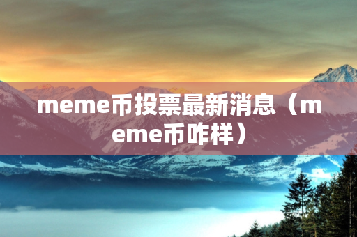 meme币投票最新消息（meme币咋样）