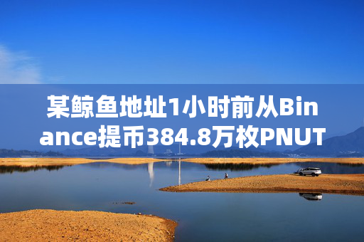 某鲸鱼地址1小时前从Binance提币384.8万枚PNUT