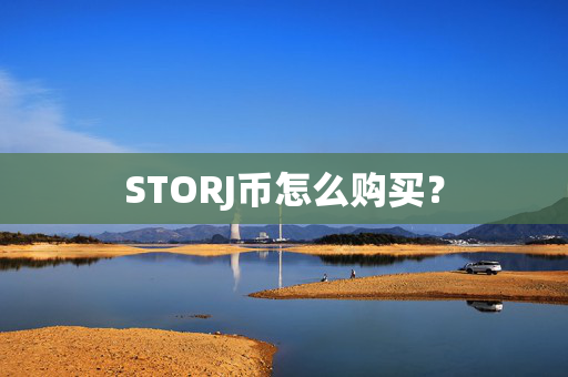 STORJ币怎么购买？