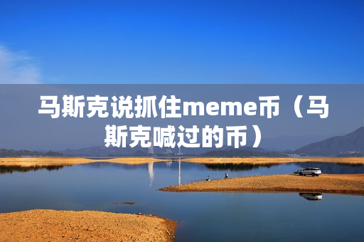 马斯克说抓住meme币（马斯克喊过的币）