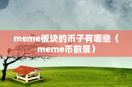 meme板块的币子有哪些（meme币前景）