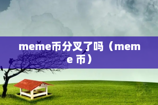 meme币分叉了吗（meme 币）