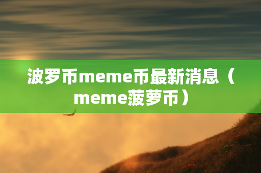 波罗币meme币最新消息（meme菠萝币）