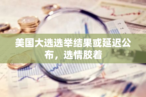 美国大选选举结果或延迟公布，选情胶着