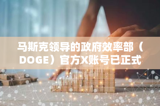 马斯克领导的政府效率部（DOGE）官方X账号已正式上线，标志着该部门正式进入社交媒体领域。