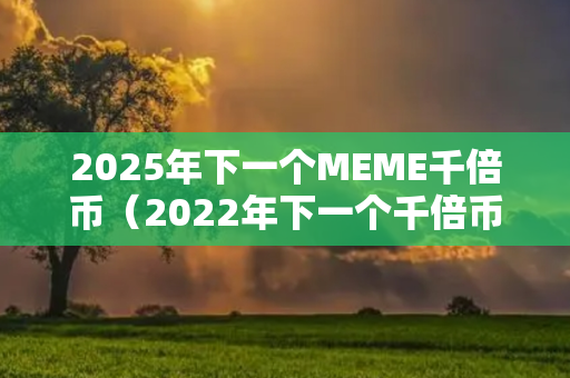 2025年下一个MEME千倍币（2022年下一个千倍币）