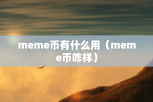 meme币有什么用（meme币咋样）