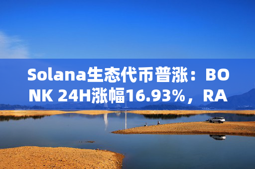 Solana生态代币普涨：BONK 24H涨幅16.93%，RAY 24H涨幅23.87%