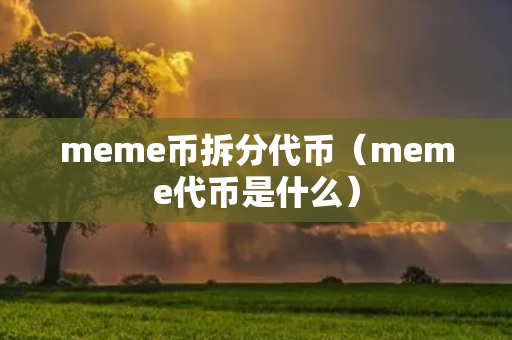 meme币拆分代币（meme代币是什么）