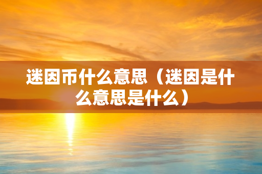 迷因币什么意思（迷因是什么意思是什么）