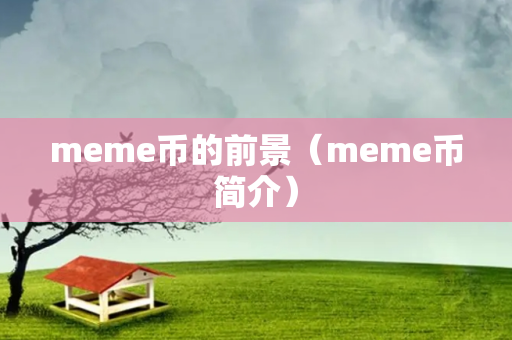 meme币的前景（meme币简介）