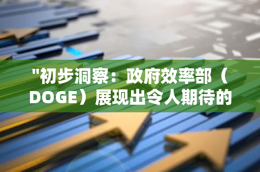 "初步洞察：政府效率部（DOGE）展现出令人期待的潜力，引领未来改革风向"